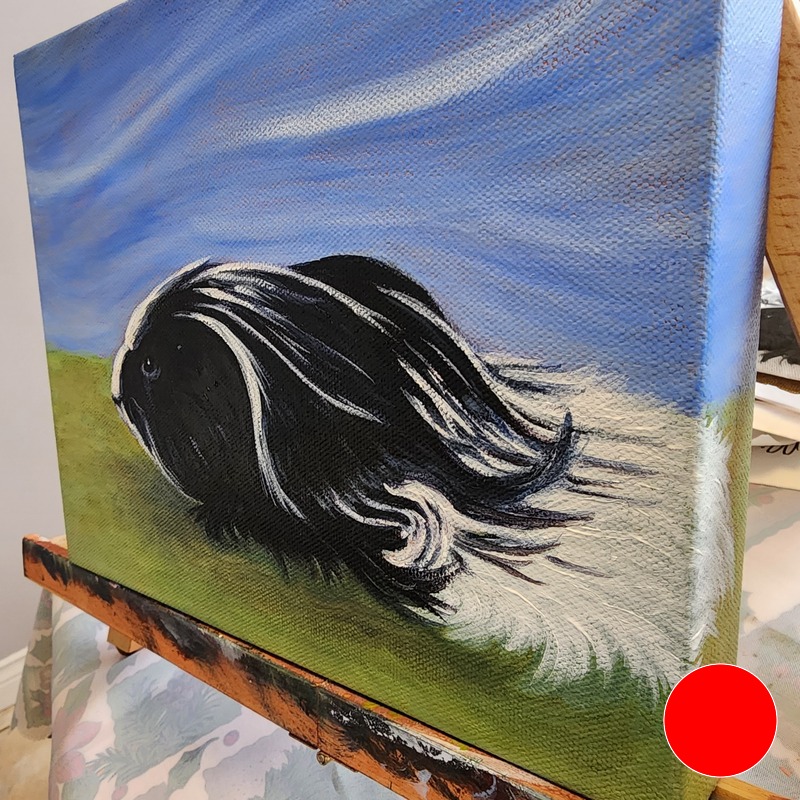 Ontario Cavy Club - 6 Ontario Cavy Club - 6