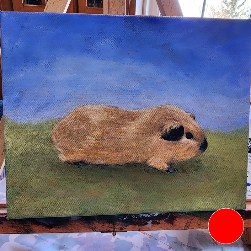 Ontario Cavy Club - 7 Ontario Cavy Club - 7