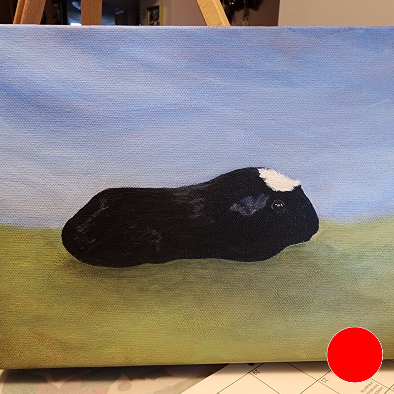 Ontario Cavy Club - 8 Ontario Cavy Club - 8