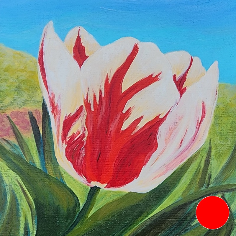 Oh, Canada! Oh, Canada!